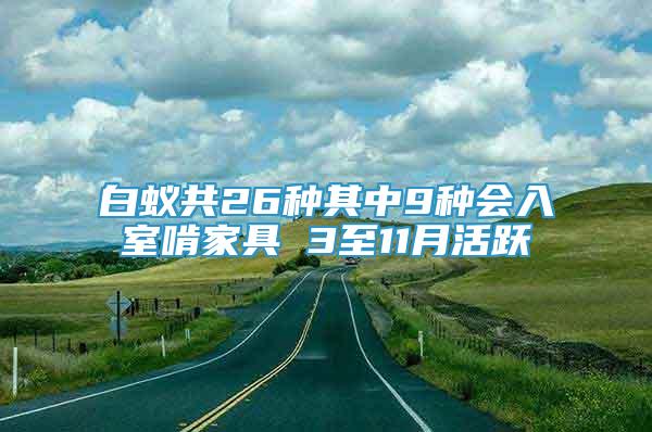 白蟻共26種其中9種會入室啃家具 3至11月活躍