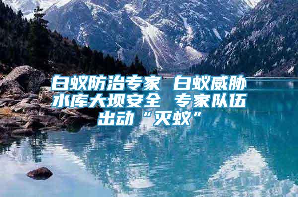 白蟻防治專家 白蟻威脅水庫大壩安全 專家隊伍出動“滅蟻”