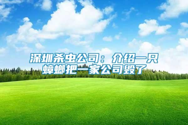 深圳殺蟲公司：介紹一只蟑螂把一家公司毀了