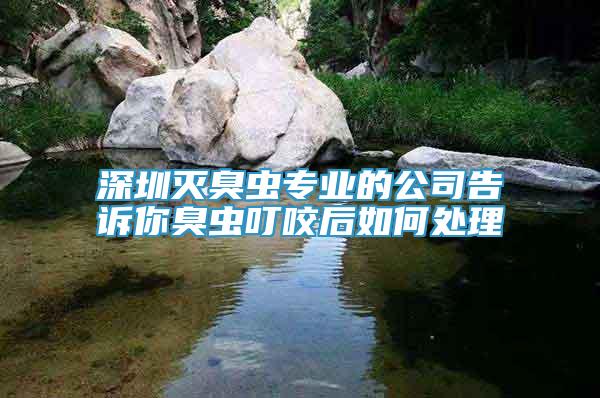 深圳滅臭蟲(chóng)專業(yè)的公司告訴你臭蟲(chóng)叮咬后如何處理