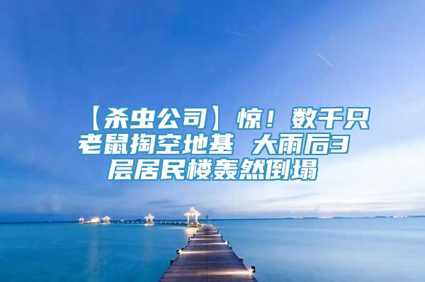 【殺蟲公司】驚！數(shù)千只老鼠掏空地基 大雨后3層居民樓轟然倒塌