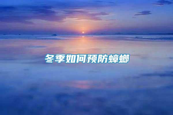 冬季如何預(yù)防蟑螂