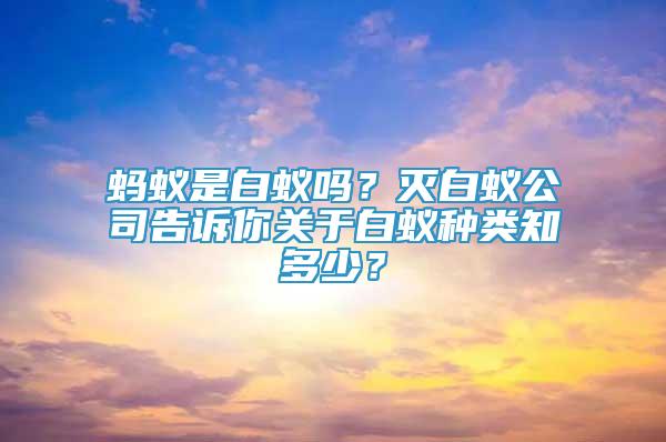 螞蟻是白蟻嗎？滅白蟻公司告訴你關(guān)于白蟻種類知多少？