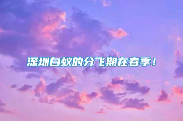 深圳白蟻的分飛期在春季！