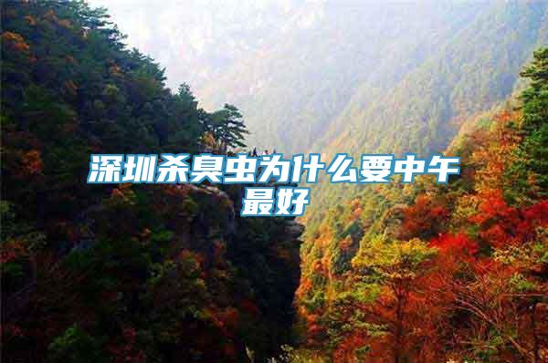 深圳殺臭蟲(chóng)為什么要中午最好