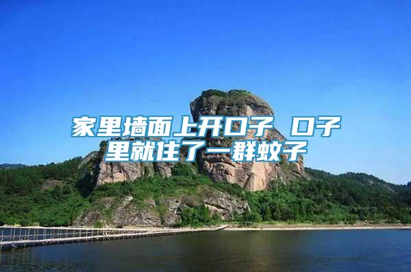 家里墻面上開(kāi)口子 口子里就住了一群蚊子