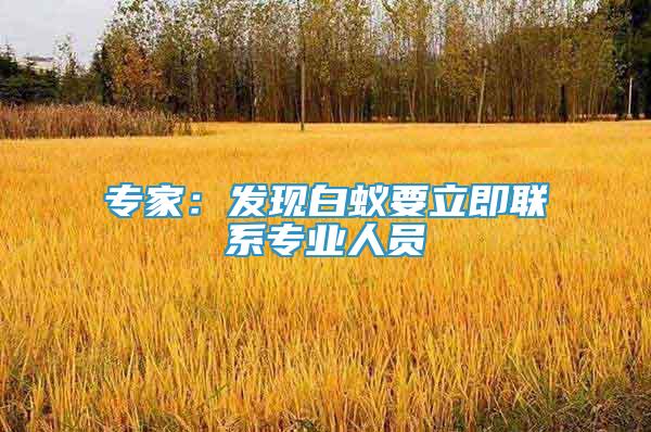 專家：發(fā)現(xiàn)白蟻要立即聯(lián)系專業(yè)人員