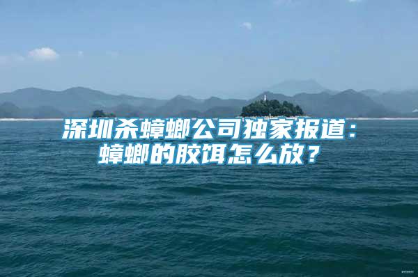深圳殺蟑螂公司獨(dú)家報(bào)道：蟑螂的膠餌怎么放？