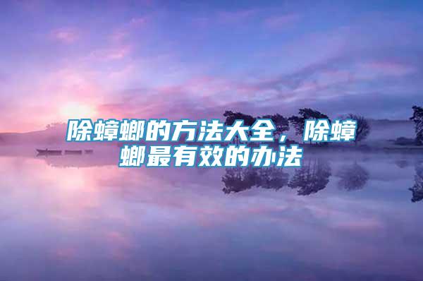 除蟑螂的方法大全，除蟑螂最有效的辦法