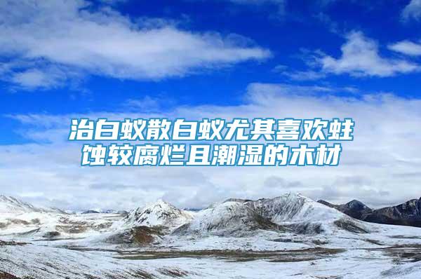 治白蟻散白蟻尤其喜歡蛀蝕較腐爛且潮濕的木材