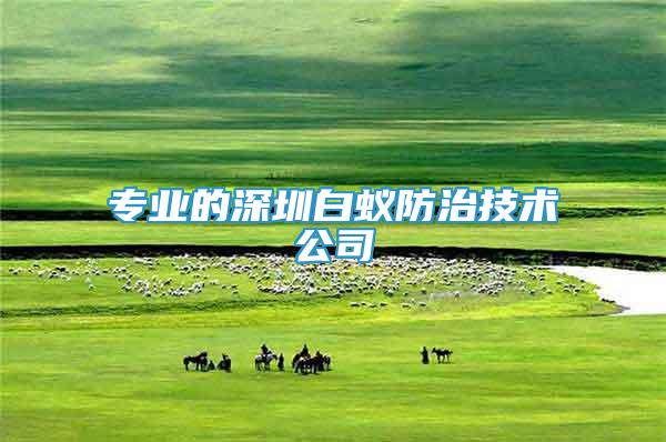專業(yè)的深圳白蟻防治技術(shù)公司