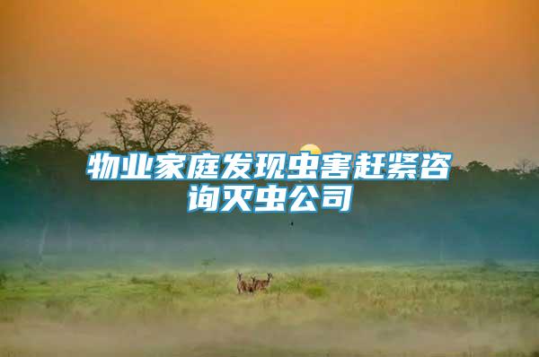物業(yè)家庭發(fā)現(xiàn)蟲(chóng)害趕緊咨詢滅蟲(chóng)公司