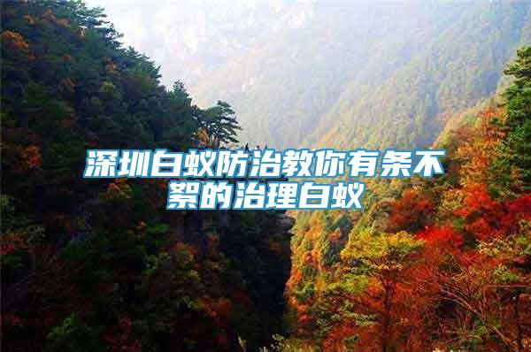 深圳白蟻防治教你有條不絮的治理白蟻