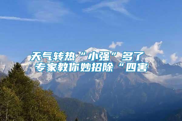 天氣轉(zhuǎn)熱“小強”多了 專家教你妙招除“四害
