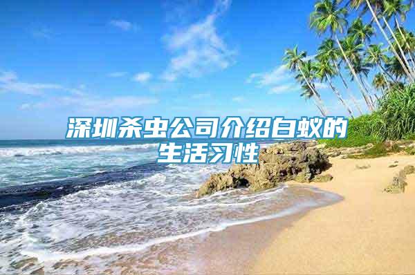 深圳殺蟲公司介紹白蟻的生活習(xí)性