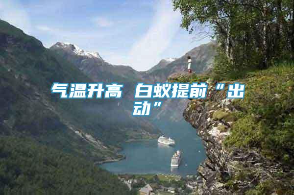 氣溫升高 白蟻提前“出動”
