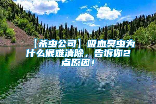 【殺蟲公司】吸血臭蟲為什么很難清除，告訴你2點(diǎn)原因！
