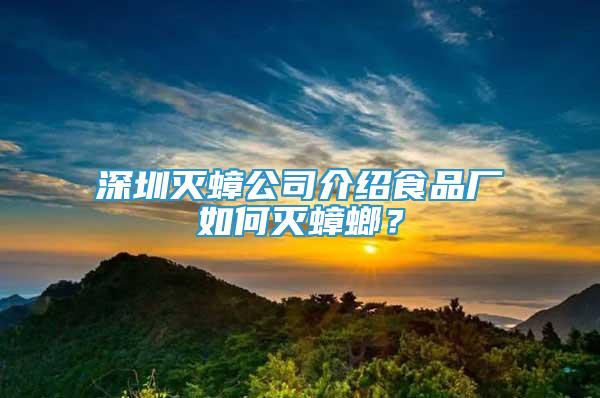 深圳滅蟑公司介紹食品廠如何滅蟑螂？