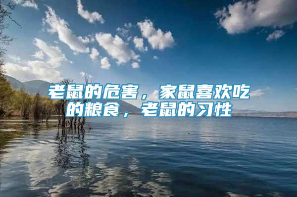 老鼠的危害，家鼠喜歡吃的糧食，老鼠的習(xí)性