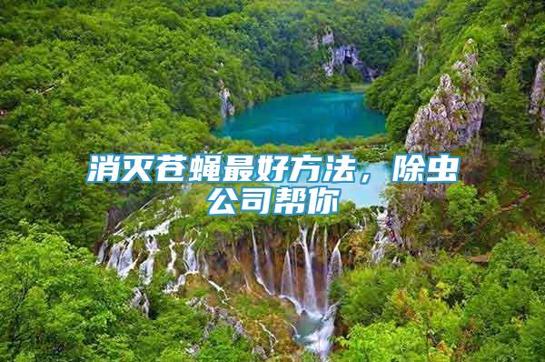 消滅蒼蠅最好方法，除蟲公司幫你