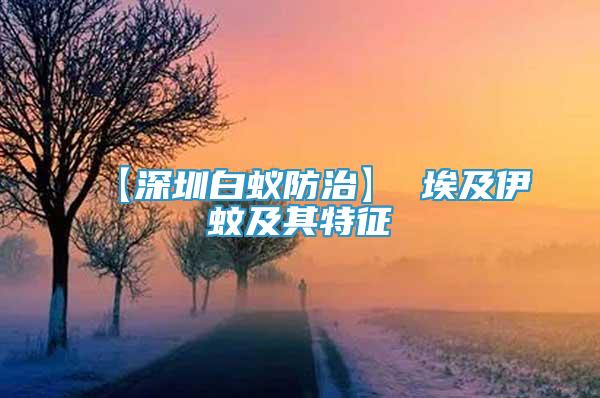【深圳白蟻防治】 埃及伊蚊及其特征