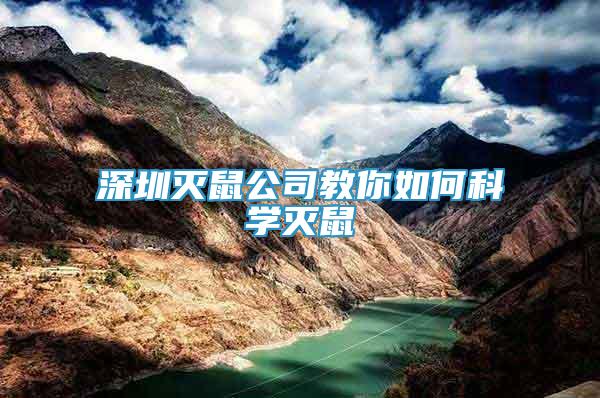 深圳滅鼠公司教你如何科學(xué)滅鼠