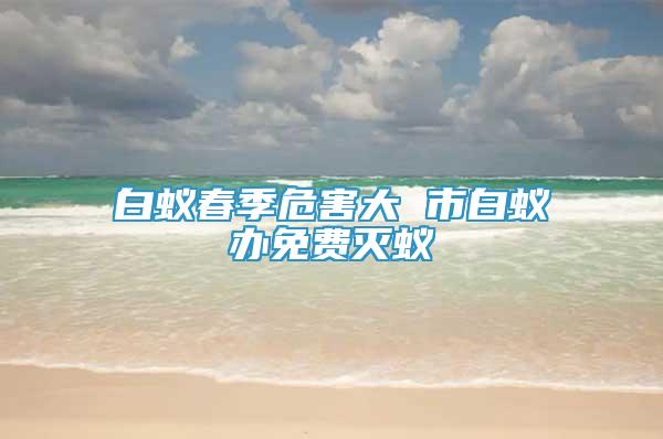 白蟻春季危害大 市白蟻辦免費滅蟻