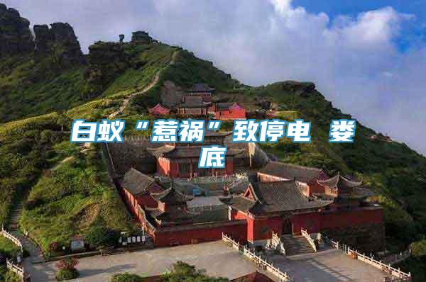 白蟻“惹禍”致停電 婁底