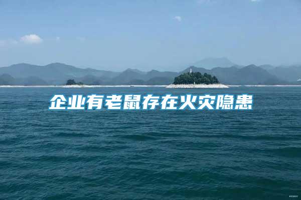 企業(yè)有老鼠存在火災(zāi)隱患