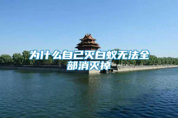 為什么自己滅白蟻無法全部消滅掉