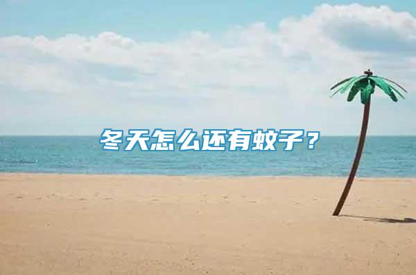冬天怎么還有蚊子？