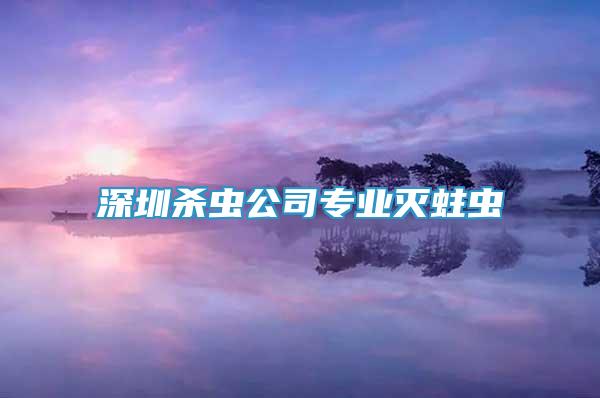 深圳殺蟲公司專業(yè)滅蛀蟲