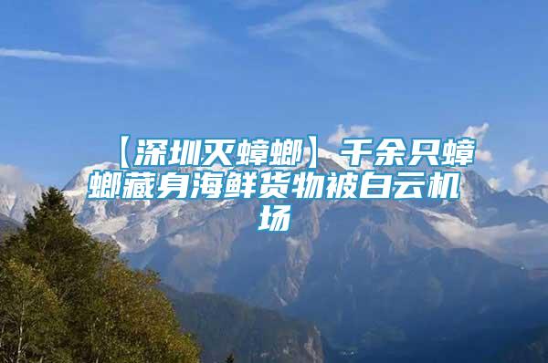 【深圳滅蟑螂】千余只蟑螂藏身海鮮貨物被白云機(jī)場