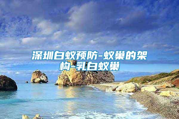 深圳白蟻預(yù)防-蟻巢的架構(gòu)-乳白蟻巢