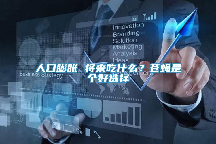 人口膨脹 將來吃什么？蒼蠅是個好選擇