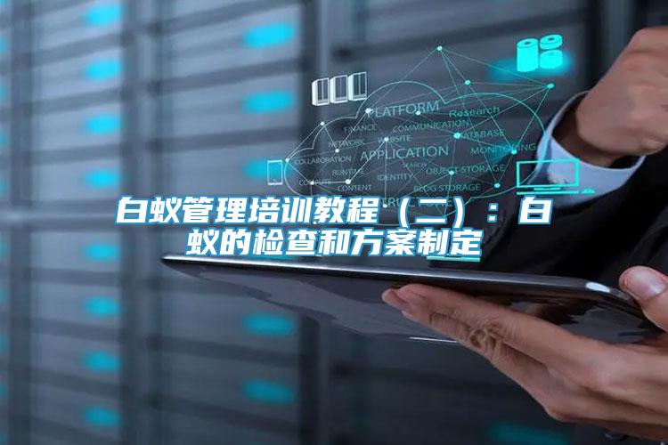 白蟻管理培訓教程（二）：白蟻的檢查和方案制定