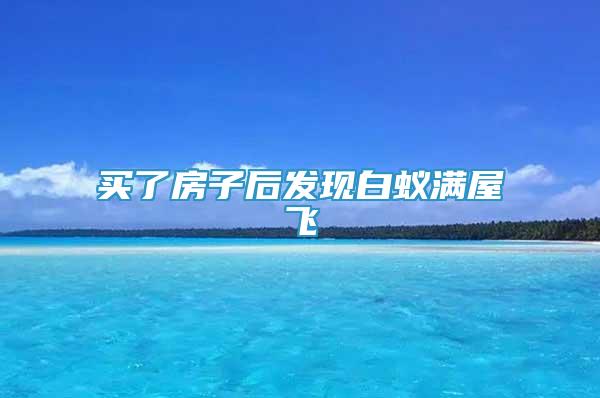 買了房子后發(fā)現(xiàn)白蟻滿屋飛