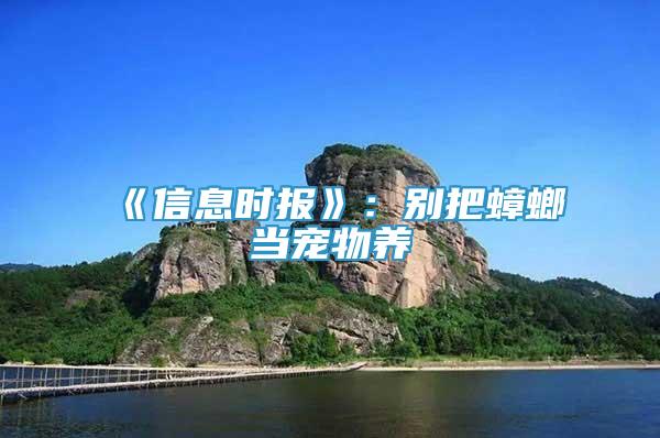 《信息時報(bào)》：別把蟑螂當(dāng)寵物養(yǎng)
