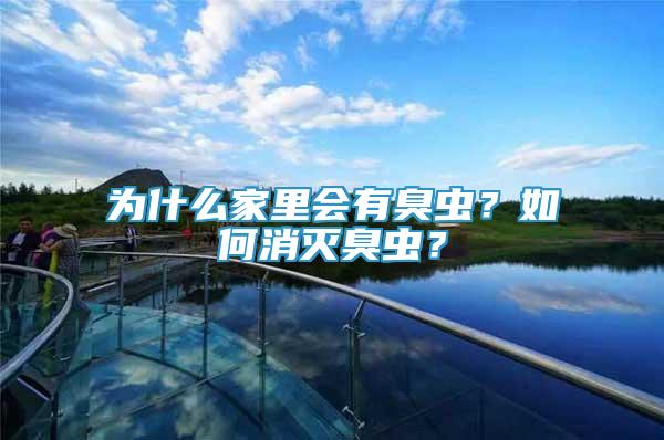 為什么家里會有臭蟲？如何消滅臭蟲？