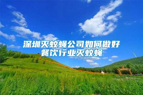 深圳滅蚊蠅公司如何做好餐飲行業(yè)滅蚊蠅