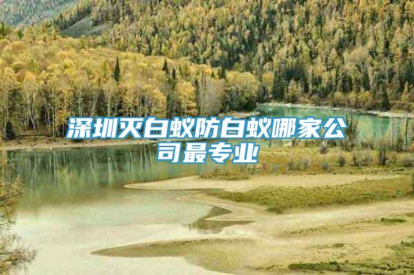 深圳滅白蟻防白蟻哪家公司最專業(yè)