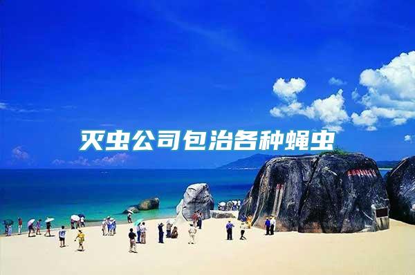 滅蟲公司包治各種蠅蟲