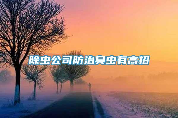 除蟲公司防治臭蟲有高招