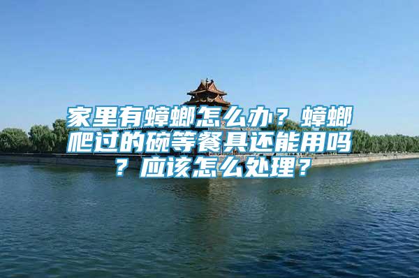 家里有蟑螂怎么辦？蟑螂爬過的碗等餐具還能用嗎？應(yīng)該怎么處理？