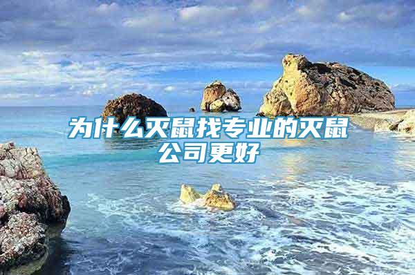 為什么滅鼠找專業(yè)的滅鼠公司更好