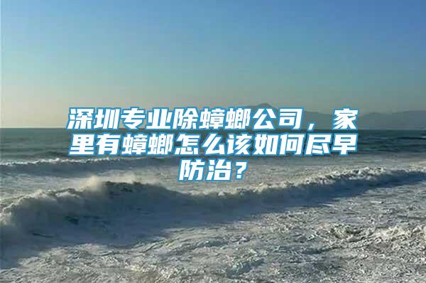 深圳專(zhuān)業(yè)除蟑螂公司，家里有蟑螂怎么該如何盡早防治？