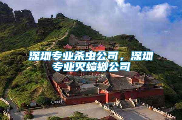 深圳專業(yè)殺蟲公司，深圳專業(yè)滅蟑螂公司