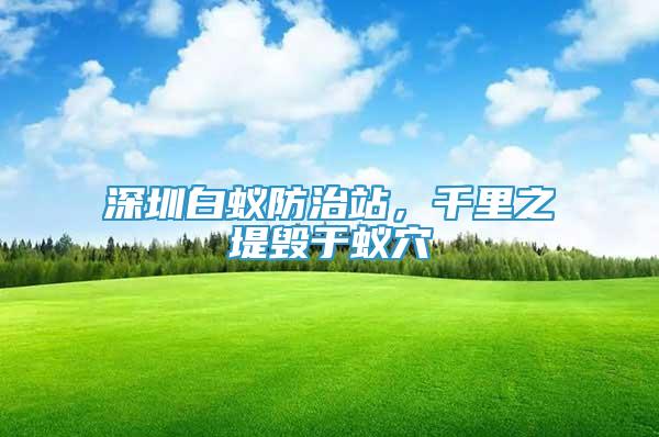 深圳白蟻防治站，千里之堤毀于蟻穴