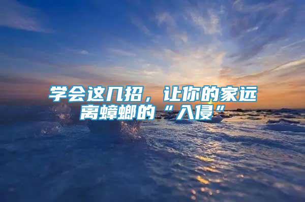 學(xué)會(huì)這幾招，讓你的家遠(yuǎn)離蟑螂的“入侵”