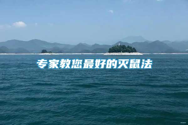 專家教您最好的滅鼠法
